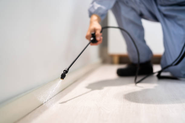 Licensed Pest Control service in Coral Hills, MD - Nex Pest Control