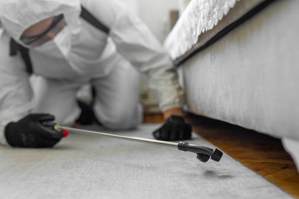 Professional Pest Control technician working in Coral Hills, MD