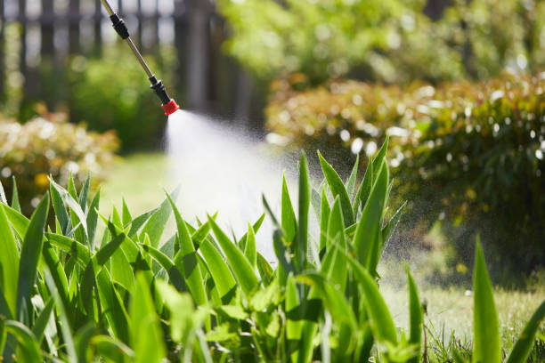 24/7 Emergency Mosquito Control experts in Coral Hills, MD