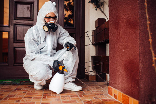 Reliable Mosquito Control contractor in Coral Hills, MD by Nex Pest Control