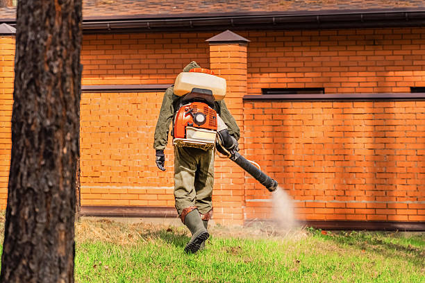Trusted Rodent Control service in Coral Hills, MD - Nex Pest Control